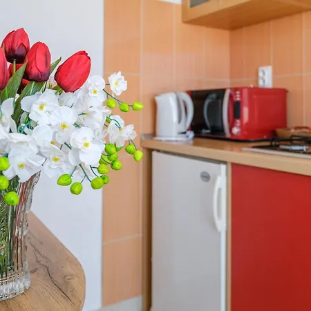 Apartment Sani- Double With Terrace And Sea View S2